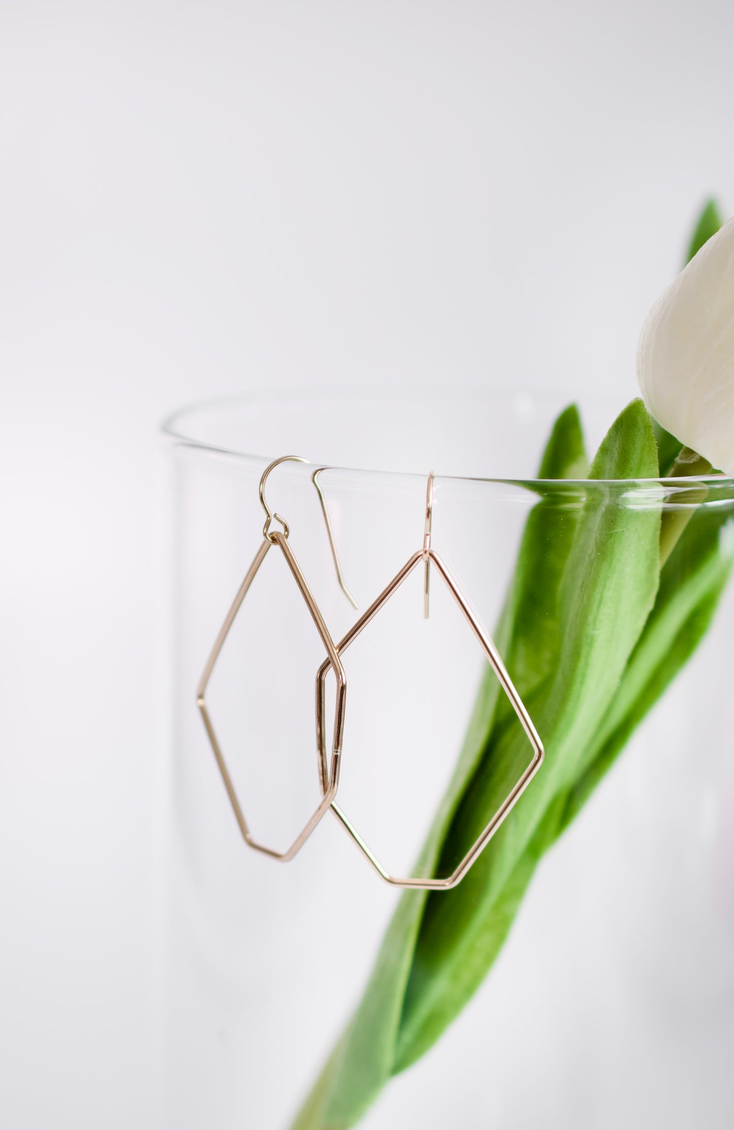 Gold Dangle Earrings