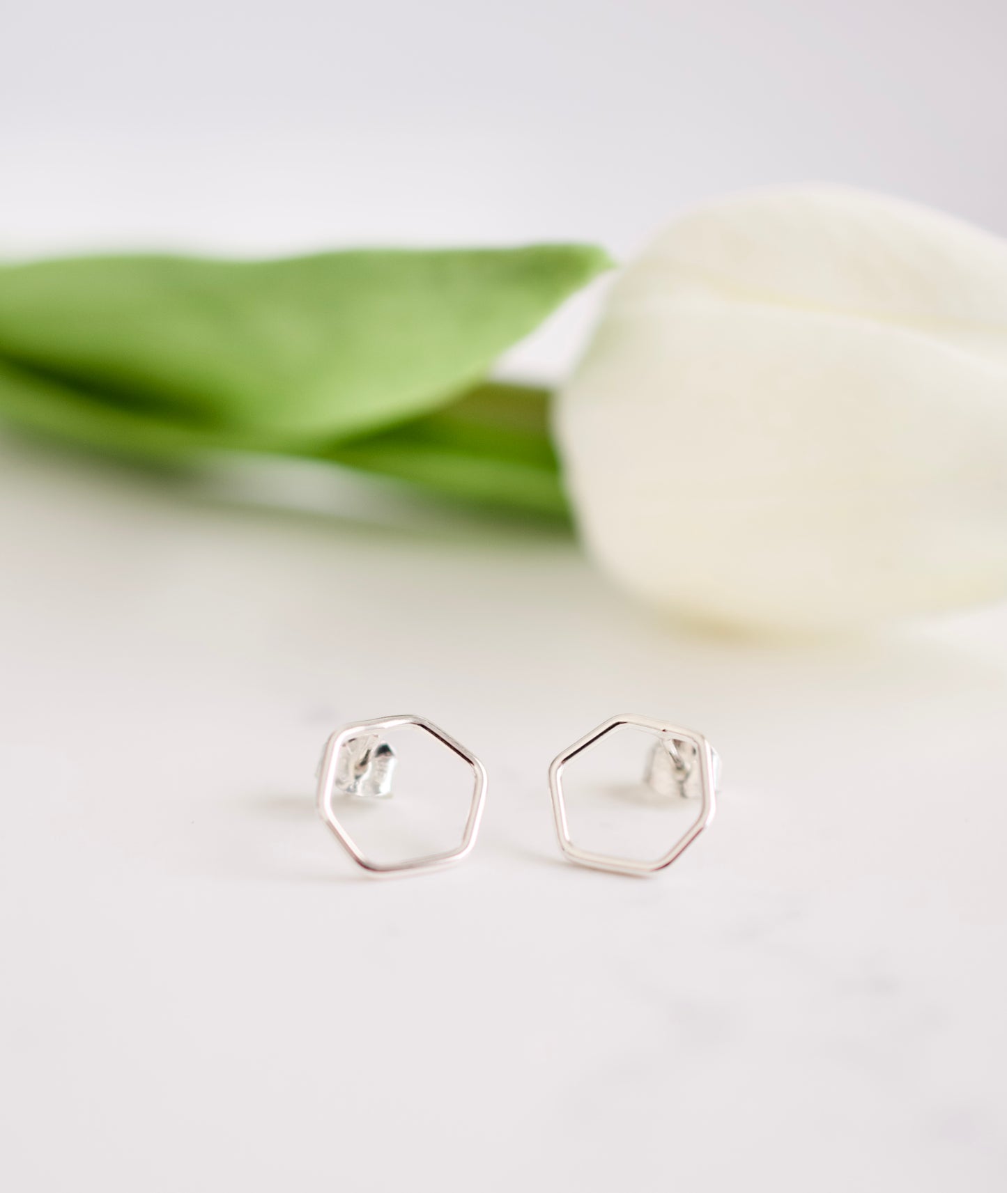 Silver Stud Earrings