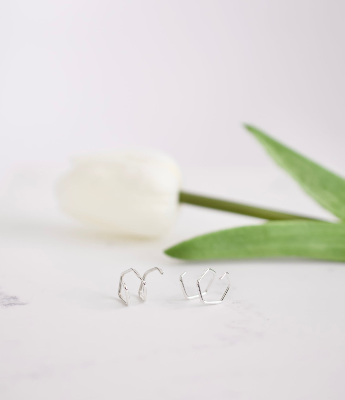 Silver Double Twist Earrings