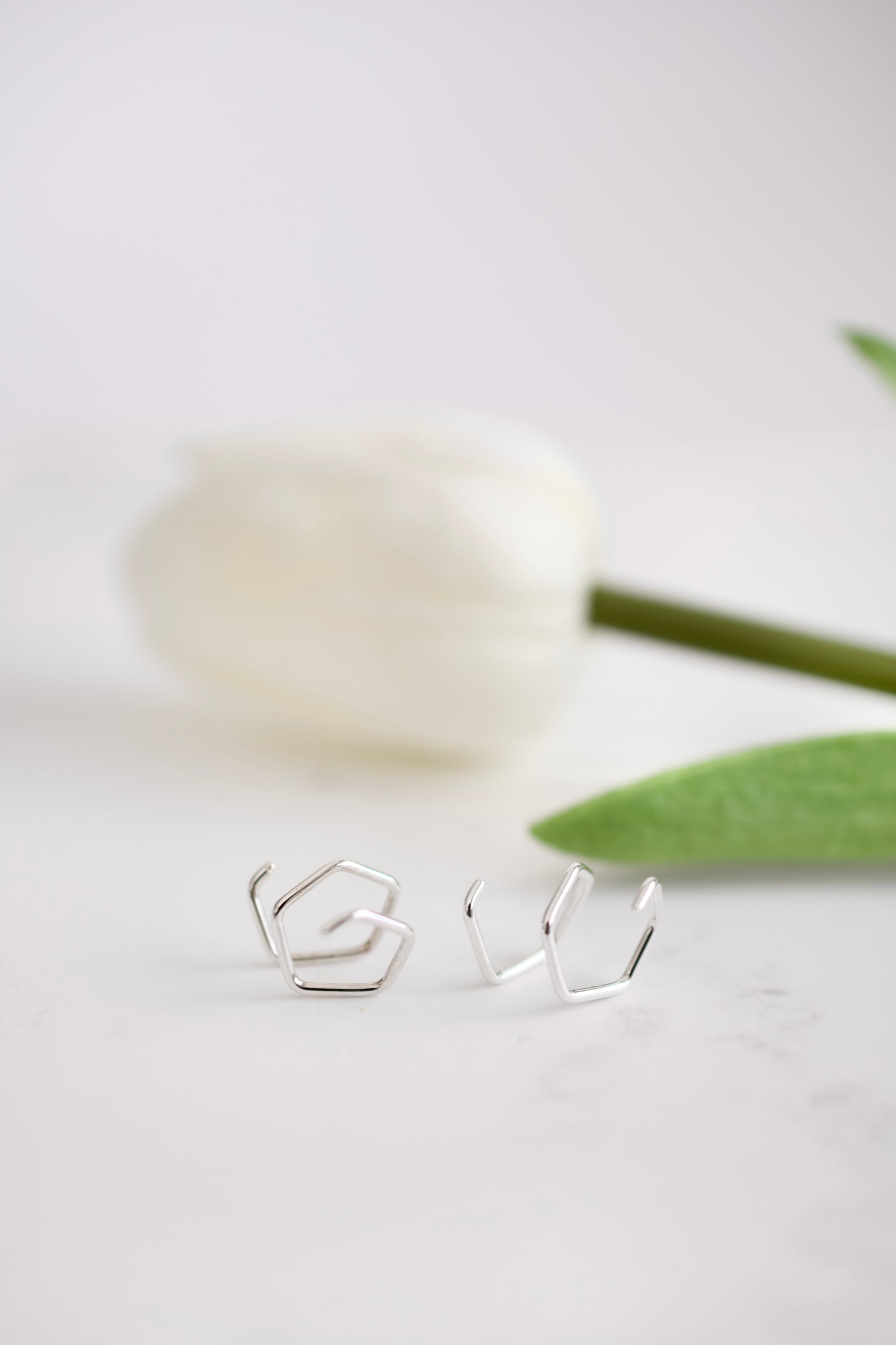 Silver Double Twist Earrings
