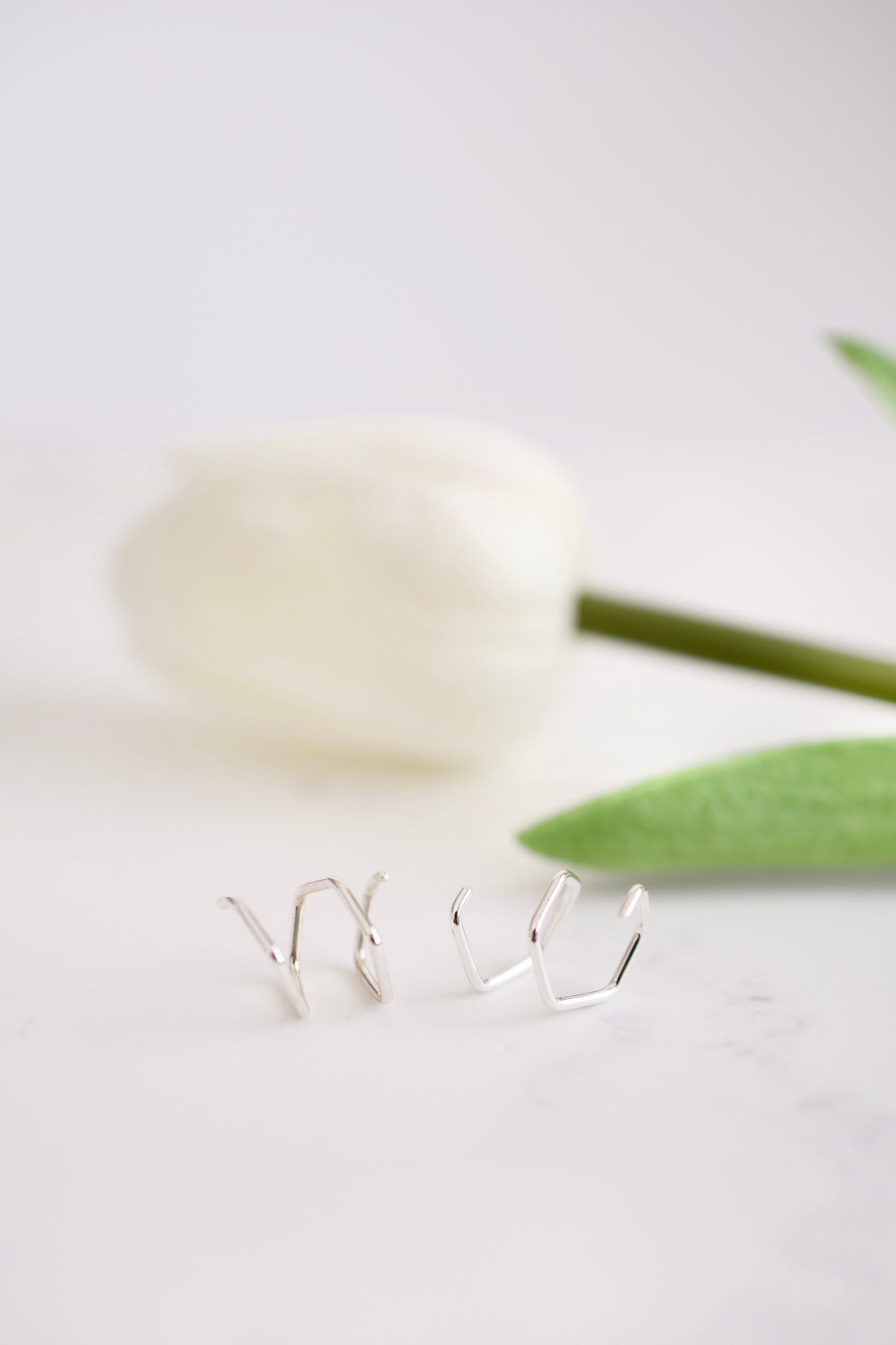 Silver Double Twist Earrings